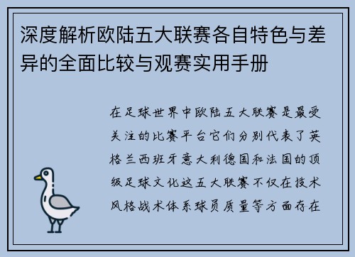 深度解析欧陆五大联赛各自特色与差异的全面比较与观赛实用手册
